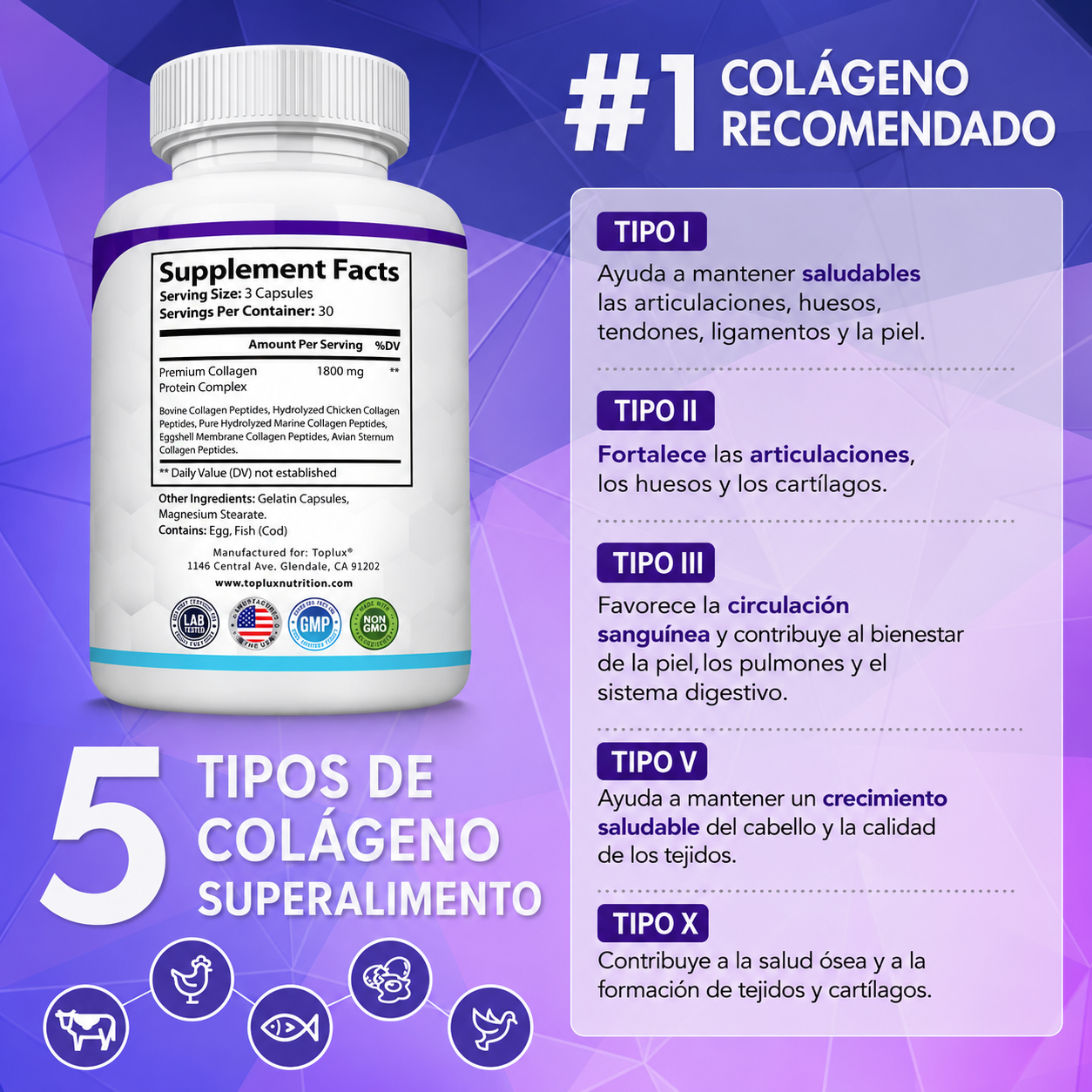 Suplemento Colágeno Péptidos